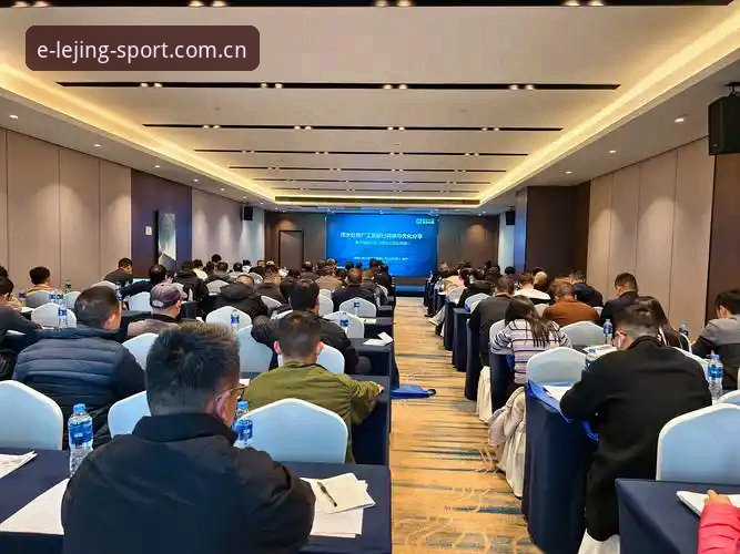 乐竞体育官网DSAN替代体验报告：一份来自老编辑的深度评测